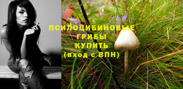 мдпв Бронницы