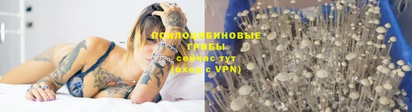 кокаин Бородино