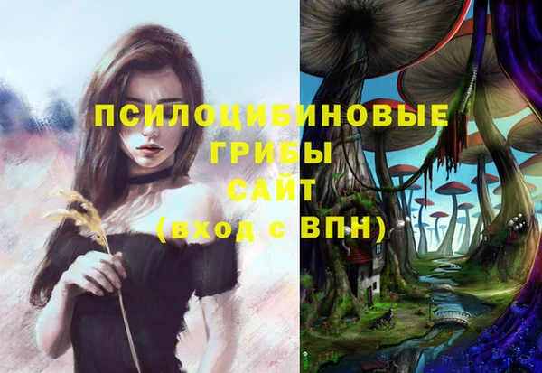 стаф Верхнеуральск