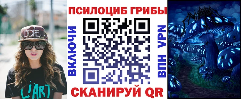Купить закладки Жердевка Псилоцибиновые грибы Psilocybine cubensis